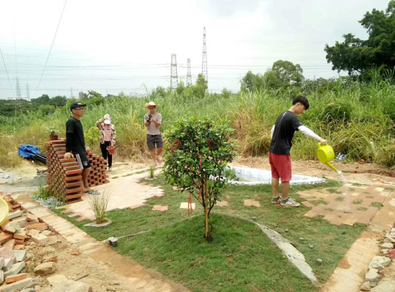 园林161的花园建成了.jpg